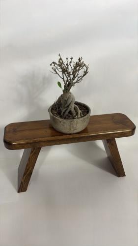 تحفة رياش #16