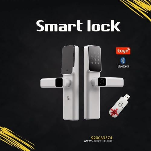 قفل ذكي (Tuya Bluetooth) | P30