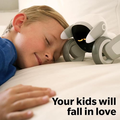 Loona الكلب الروبوت الذكي التفاعلي بتقنية GPT-4 -...