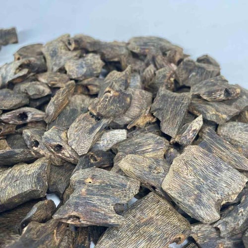 عود صيني كينام تربل