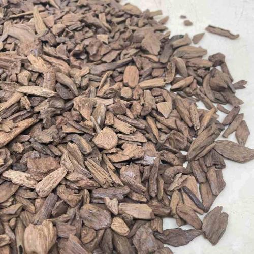 Moroccan wood oud, superb acorn