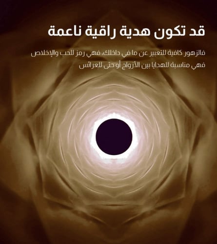 الإضاءة الكريستالية اونلاين في السعودية