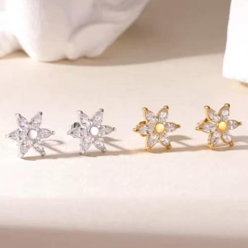 حلق روزي-فضي