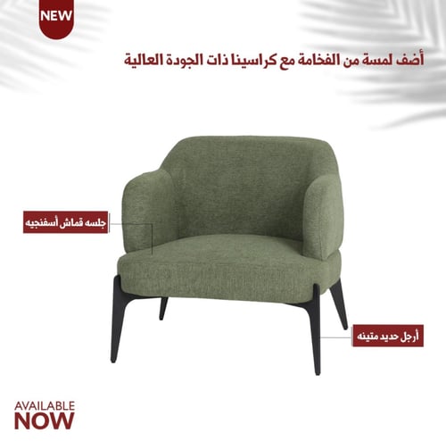 كرسي فخم مع تكاية عدة ألوان