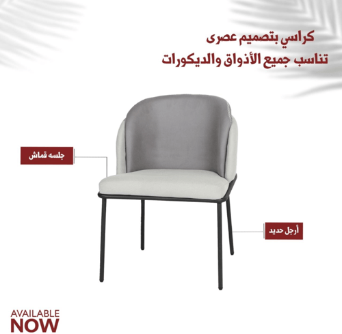 طقم 2 كراسي لون رمادي