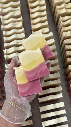 وردي غامق ، فاتح ، اصفر ، سكري