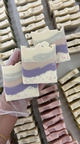 دمج الوردي ، المشمشي ، السكري