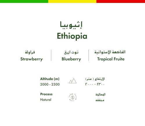 اثيوبي - قوجي - 5 اظرف
