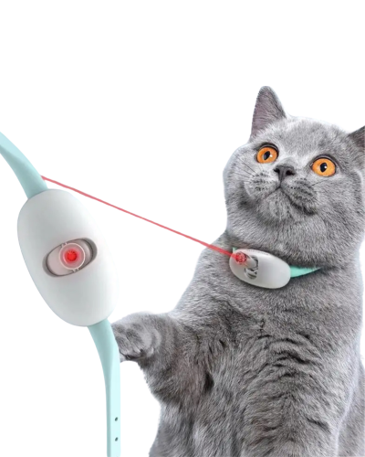 Laser Collar
