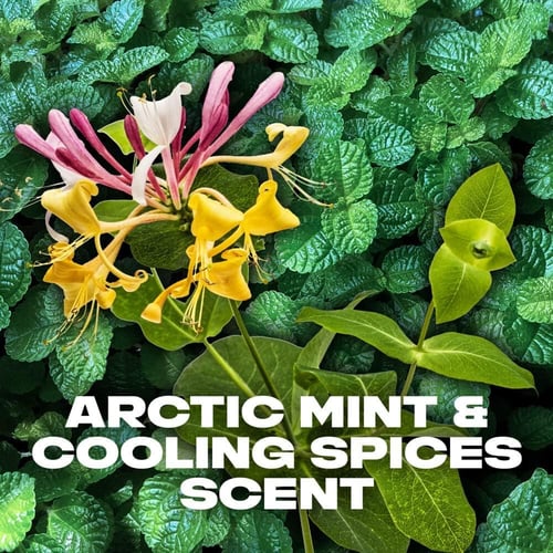 اكس مزيل عرق بخاخ ريشارج 150 مل