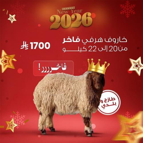 خروف هرفي فاخر