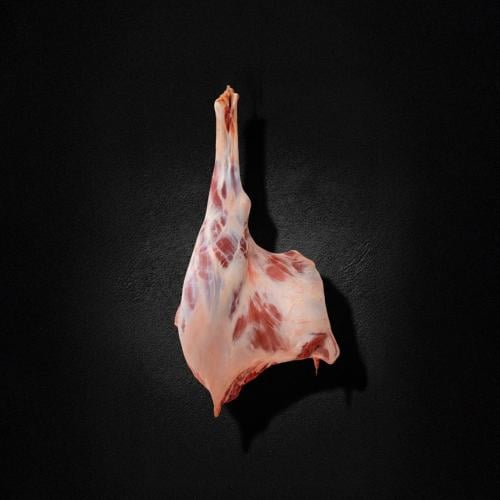 حاشي حوار نص