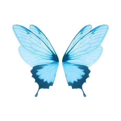 بروش مثلث ( فراشة من الخلف )