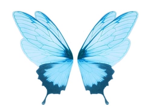 بروش مثلث ( فراشة من الخلف )