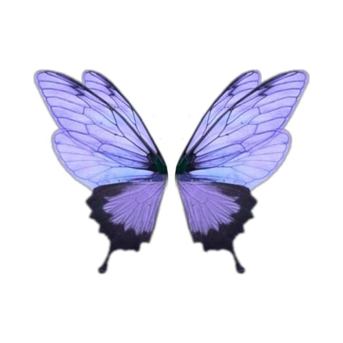 بروش مثلث ( فراشة من الخلف )