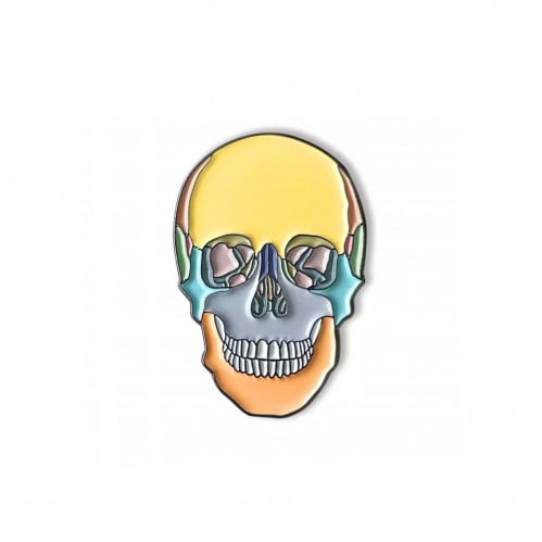 بروش جمجمة طبية