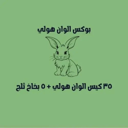 بوكس الوان هولي