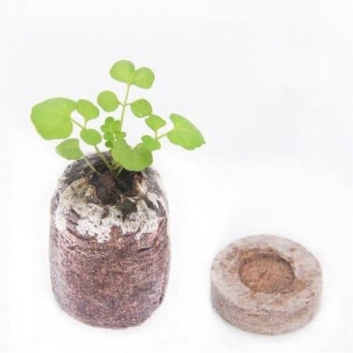 أقراص الجيفي (Jiffy) 10 حبات