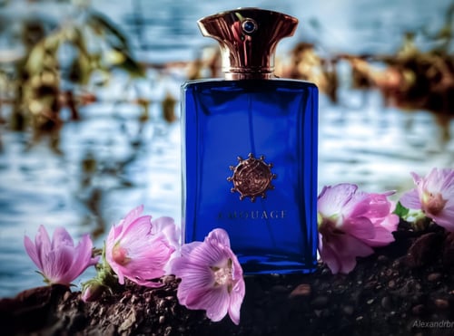 عطر انترلود امواج
