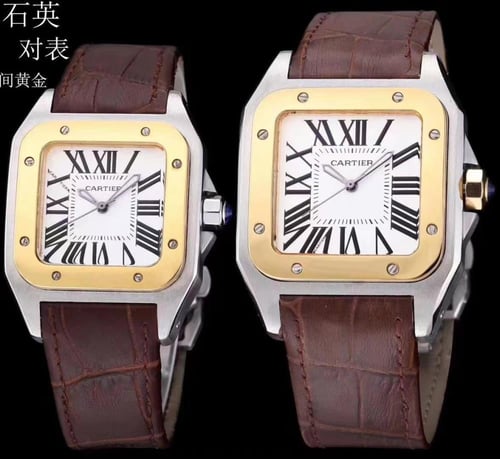 ساعة كارتير جلد