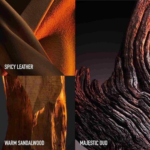 عطر باكو رابان العود الذهبي