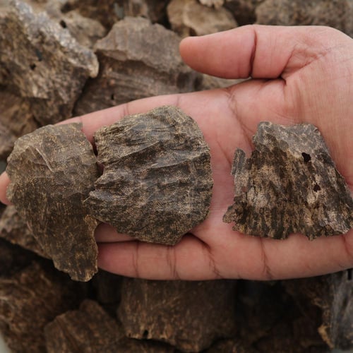 فيتنامي فاخر (جار)