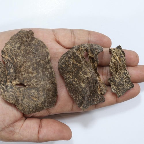 فيتنامي فاخر (جار)