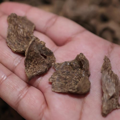 سيلاني فاخر (دقة)