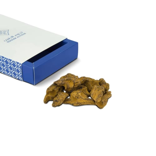 عود الشيوخ المحسن