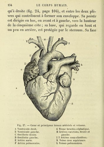 beige - المجموعة 3