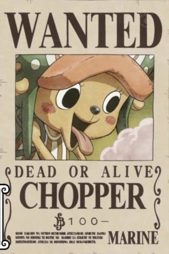 One Piece (wanted) Chopper #6