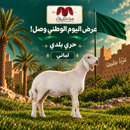 حري الطايف لبااني او هرفي