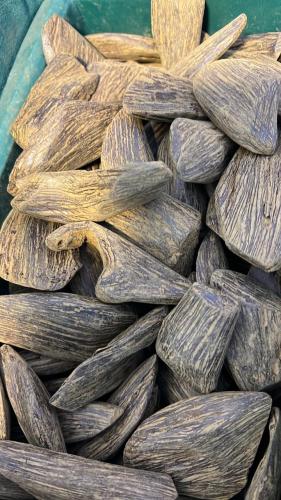 مروكي محسن ازرق