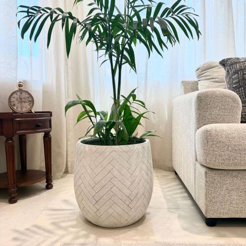 حوض زرع هيليو - تصميم متعرج أبيض