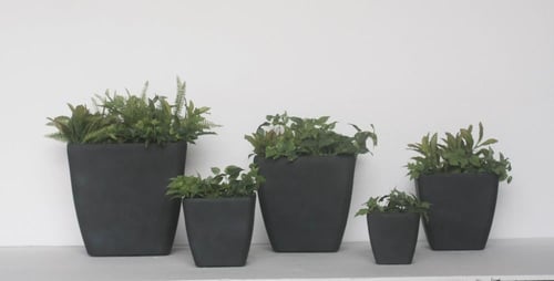 حوض زرع مربع لون أسود