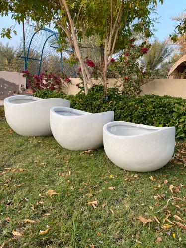 حوض زرع نصف القمر - أبيض