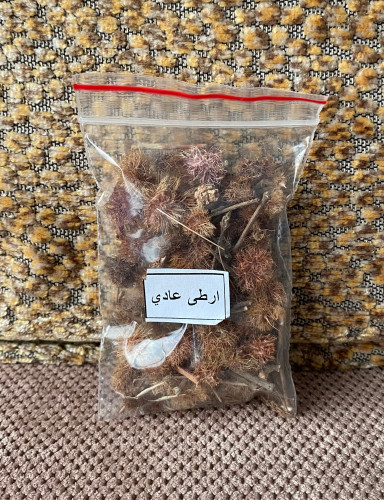 بذور أرطى