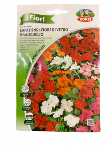 بذور بلسمينه(بفته)