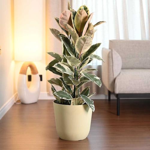 حوض زرع باليرمو أصفر