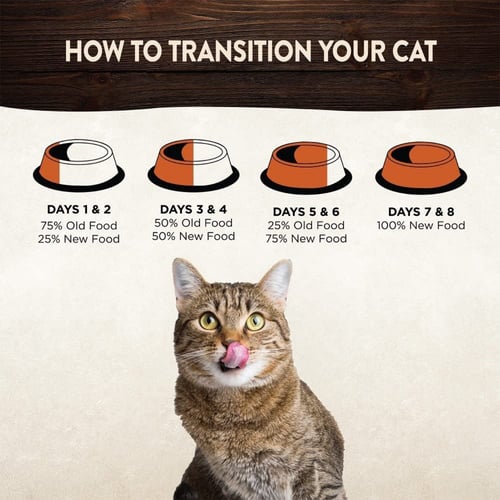 أكياس طعام للقطط بقطع الدجاج الطرية وكبد الدجاج في...