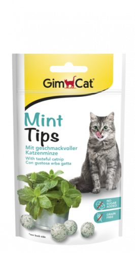 مكافاة جيم كات بالنعناع - 40 غرام