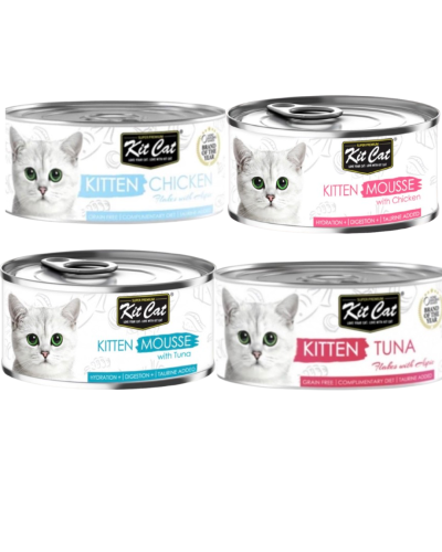 مشكل كت كات ( 24 معلب ) للقطط الصغيرة