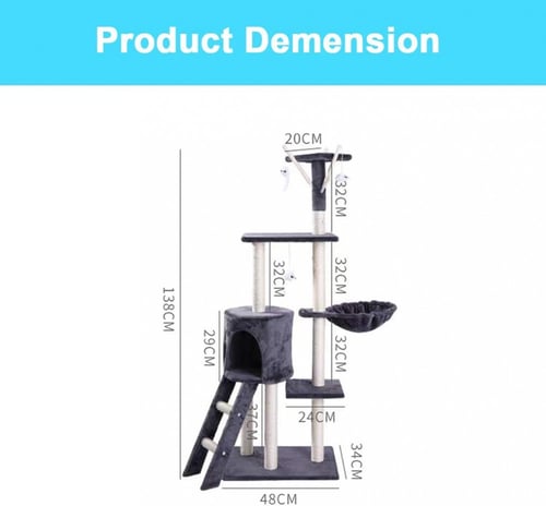 خداشة قطط مع السلم