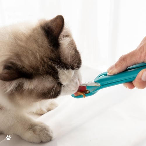 شريط لتغذية القطط