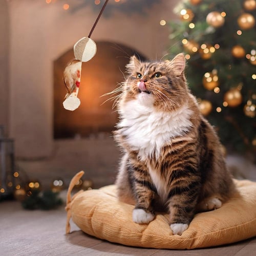 سنارة العاب للقطط