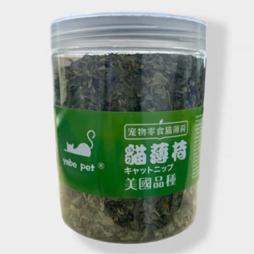 عشبة كاتنب للقطط حجم كبير