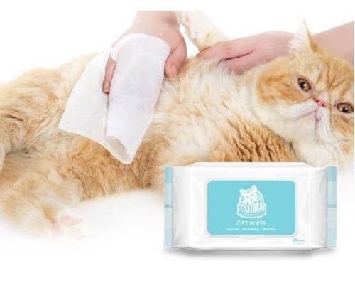 كات ايديا - مناديل رطبة معقمة 80 منديل