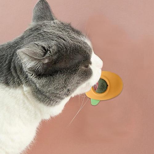 لعبة كرة النعناع البري | كرات نعناع بري طبيعية قاب...