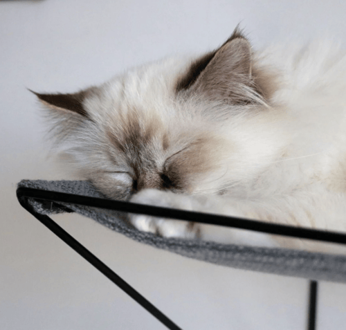 دي اند دي هوم اوليفر سرير للقطط- رمادي