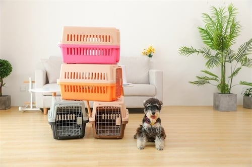 قفص حجم متوسط للقطط